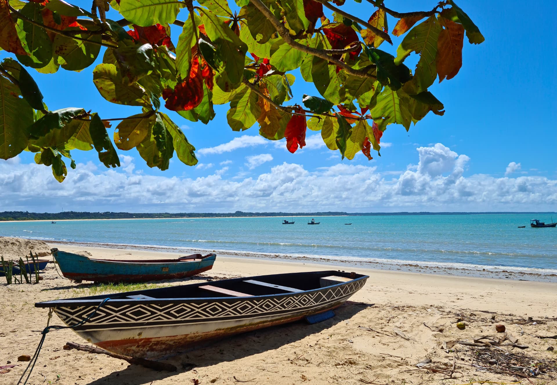 Bahia & Trancoso